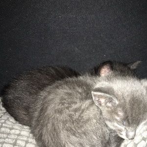 Meet your Posher, Jussara